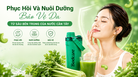 Tác Dụng Phục Hồi Và Nuôi Dưỡng Hàng Rào Bảo Vệ Da Từ Sâu Bên Trong Của Nước Cần Tây