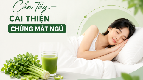 Cần Tây – "Vũ Khí Bí Mật" Cải Thiện Chứng Mất Ngủ Và Giảm Căng Thẳng Cho Dân Văn Phòng