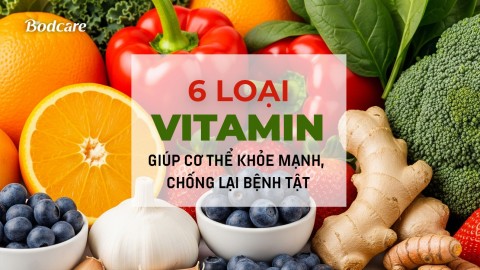 6 vitamins that help the body stay healthy and fight diseases