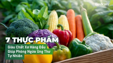 Top 7 Fiber-Rich Foods That Help Prevent Cancer Naturally