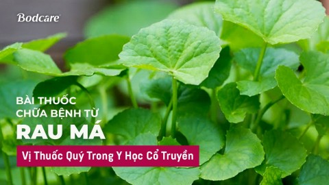 Remedies from pennywort: A precious medicine in traditional medicine