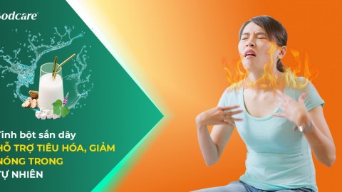 Tapioca starch – Supports digestion, reduces heat in nature