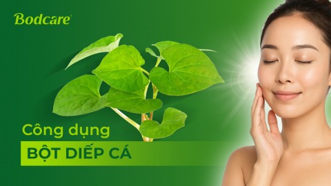 Uses of fish lettuce powder