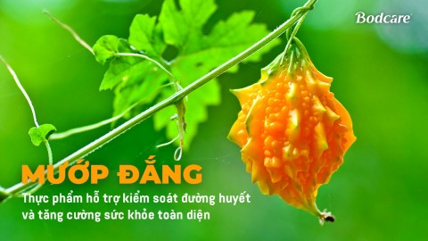 Bitter melon – A food that supports blood sugar control and promotes overall health