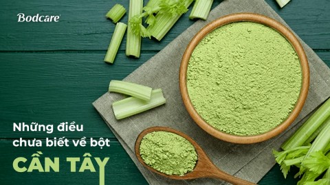 Unknowns about Celery Powder
