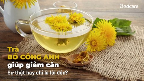 Dandelion tea helps with weight loss: Truth or just a rumor?