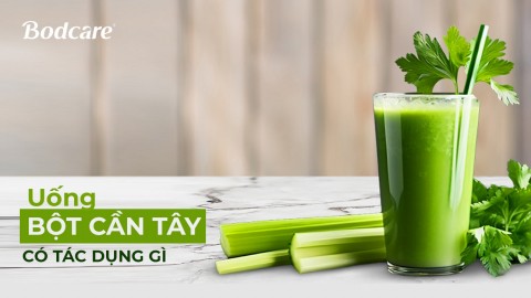 What are the benefits of drinking celery powder water?